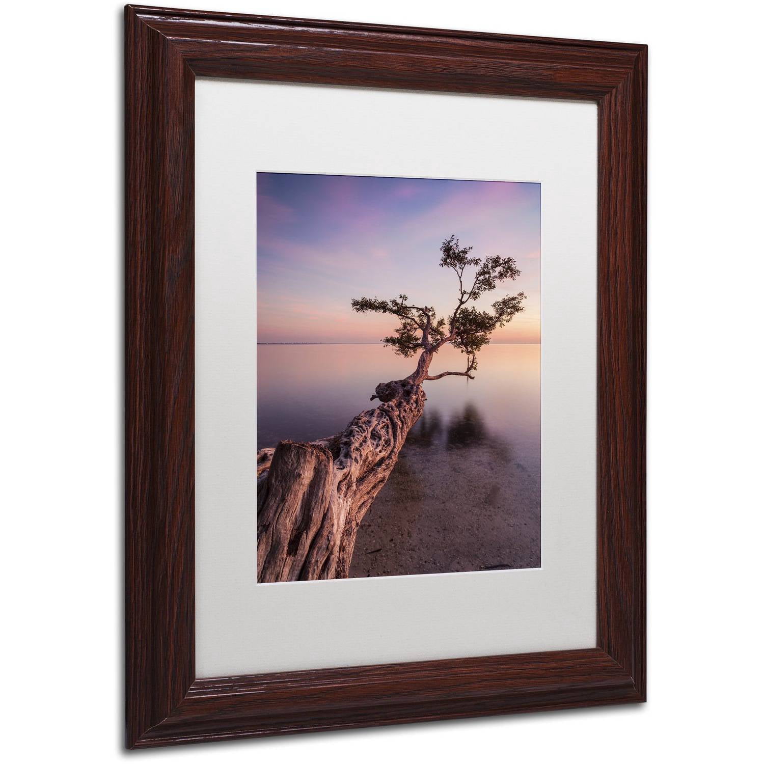 Moises Levy 'Water Tree IV' Matted Framed Art