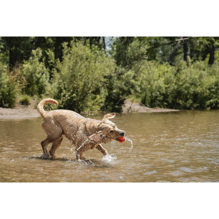 Chuckit! Fetch Medley Gen 3 Rubber Balls, Pack of 3 Medium photo 4