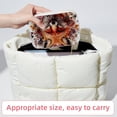 thumbnail image 6 of Fox Velvet Portable Storage Box with Removable Compartment – Gift-Ready, Earring Holder Jewelry Box and Jewelry Organizer, 6 of 7
