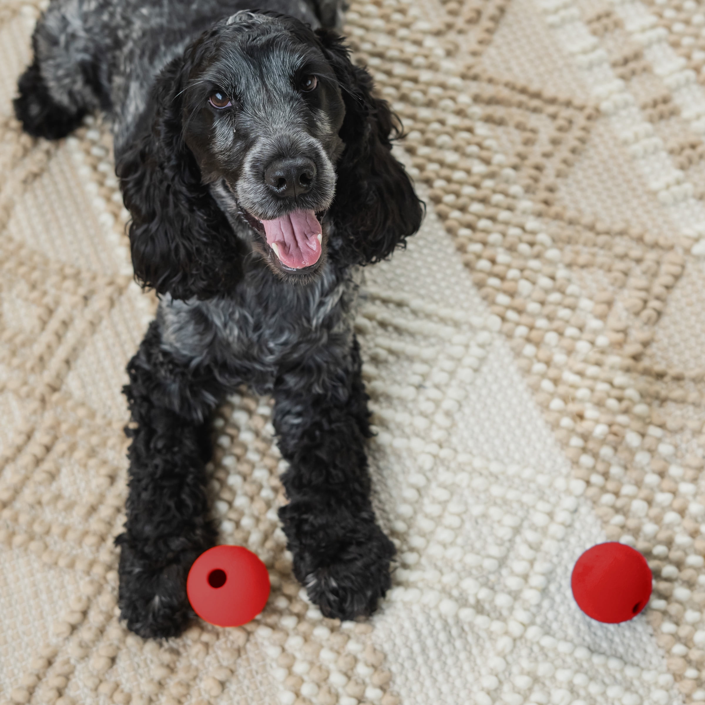 Vibrant Life Durable Rubber Dog Fetch Ball, Red, Small, Chew Level 3, 1 Count