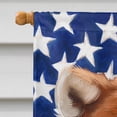 thumbnail image 3 of Carolines Treasures CK6387CHF Akita American Canvas House Size outdoor-flags, Multicolor, 3 of 4