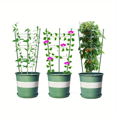 thumbnail image 3 of 2 Pcs Tomato Cage Plants Support, Trellis Climbing Ring Cage Stand for Pepper Eggplant Tomato Flowers, 3 of 9