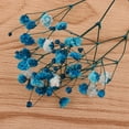 thumbnail image 2 of Gypsophi Panicuta de hojas secas Gloria para decoración azul, 2 of 9