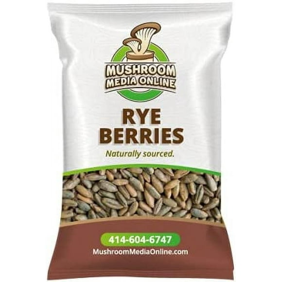 Rye Berries Bulk