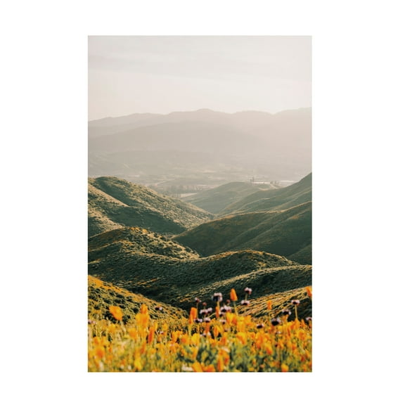 Canvas Wall Art - Krista Broadway 'Palomar' Wall Art for Living Room, Bedroom, or Office Décor by Trademark Fine Art - 12 x 19 Inches