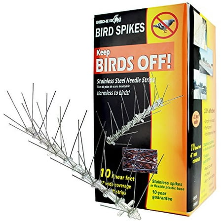 Best Stainless Steel Bird Spikes Kit Covers 10 ft 100% Effective by