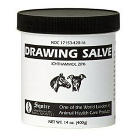 Neogen Ichthammol Drawing Salve 14 Ounces - 79105 | Walmart Canada