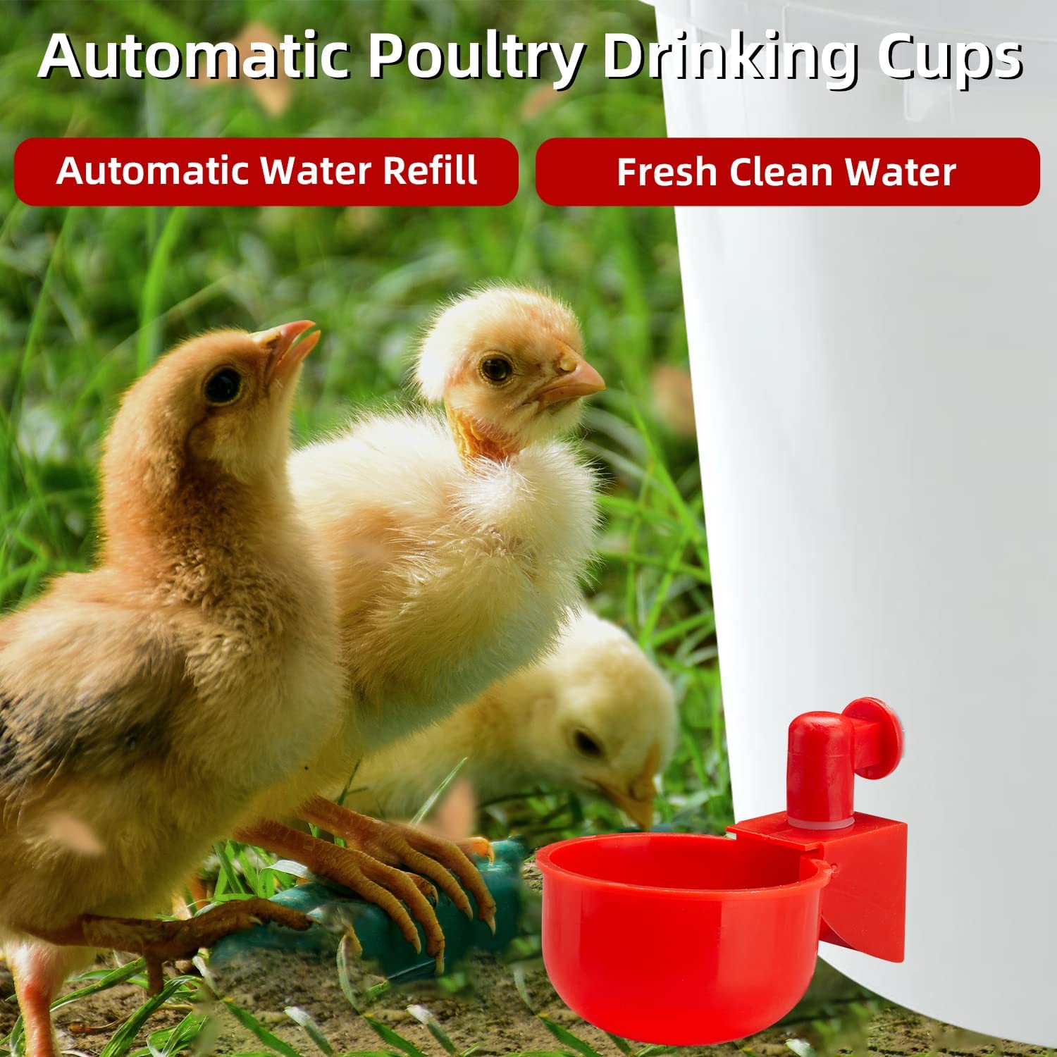 X Long Cage Cup - 12 Pack Black Chicken Feed And Water Cups, Made In USA For Poultry Coops