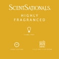 thumbnail image 2 of Cubes de cire parfumée ScentSationals - Honeycomb Glow, 2 of 5