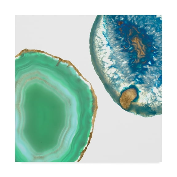 Trademark Fine Art 'Gem Stones IV' Canvas Art by Jennifer Goldberger