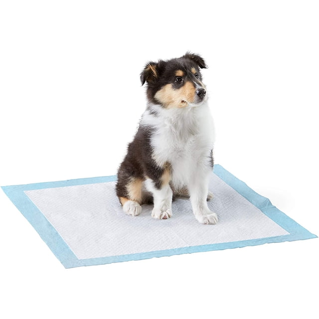 Almohadillas absorbentes para entrenamiento para ir al baño para perros y cachorros, resistentes, con diseño a prueba de fugas y superficie de secado rápido, tamaño normal (24 x 23
