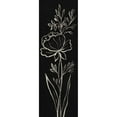 thumbnail image 3 of Vassileva, Silvia 9x18 Black Modern Framed Museum Art Print Titled - Black Floral III Crop, 3 of 5