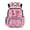Cartoon Pink Squirrel, Cherry & Heart Pattern, variant on Chririnla Cute Axolotl School Bag 17 Inch, Lightweight Waterproof Bookbag, Multi-Pocket Casual Daypack for Student Daily School and Travel
