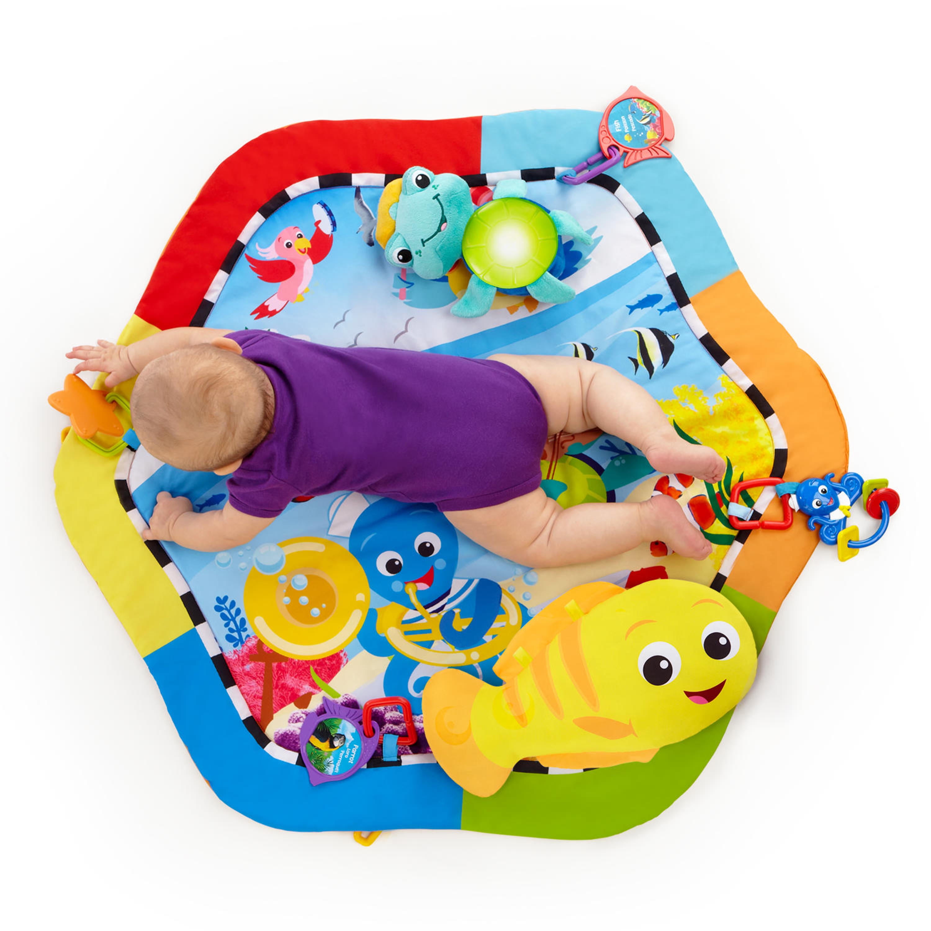 rhythm of the reef play gym