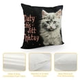 thumbnail image 4 of JEUXUS  It’s Not Cat Hair It’s Kitty Glitter Throw Pillow Cover, Cat Lover Gifts for Women Men, Doxie Pillow case  Home Room Bed Sofa Decor, 4 of 5