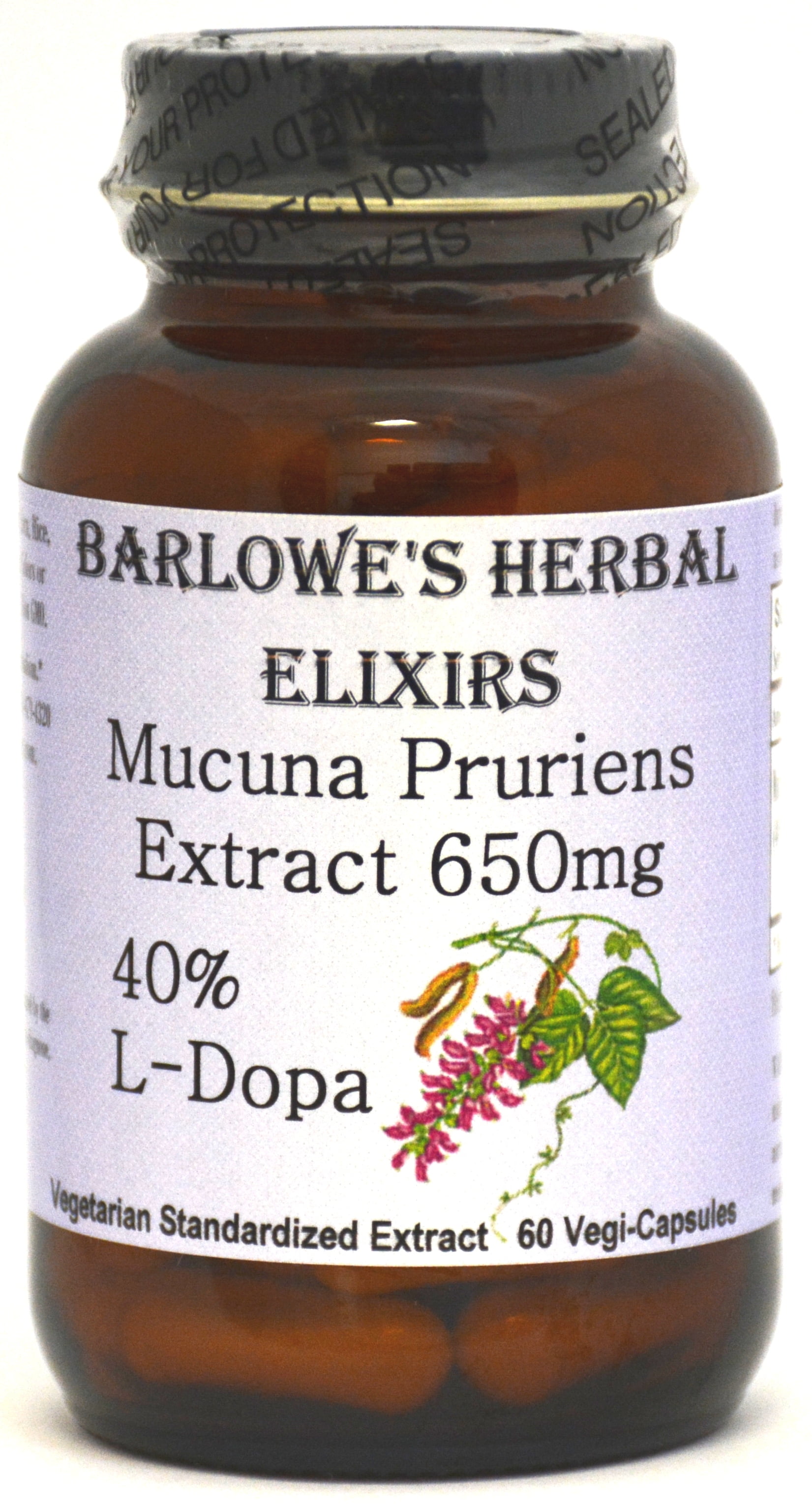Mucuna Pruriens Seeds 120 Capsules 2 Bottles L-DOPA 99% Extract Powder 