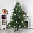 thumbnail image 4 of Christmas Ball Ornaments 12 Pcs 2.36" Shatterproof Christmas Tree Decorations Xmas Tree Christmas Ornaments Balls with Hanging Loop for Halloween Wedding Holiday Party Wreath Home Decor, 4 of 6