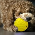 Puppy Play Giant Dog Bones For Aggressive Chewers Dog Outside Large Dog puppy-play-giant-dog-bones-for-aggressive-chewers-dog-outside-large-dog