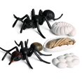 thumbnail image 1 of POINTERTECK Ensemble de Figurines de Cycle de Croissance de Fourmi Réaliste avec Moule d'Affichage Jouets Éducatifs Animaux Simulés Fourmi Rouge, 1 of 7