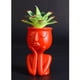 thumbnail image 5 of Jarrón de Flores de Escultura de de 2 Piezas Macetas de Cactus de Interior para, 5 of 6