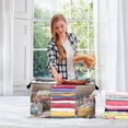 thumbnail image 5 of Foldable Clothes Storage Bags Clothes Organizer Bin with Clear Windows for Clothes Bedding Different Colors and Patterns Cat, 5 of 7