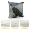 thumbnail image 4 of Orinice Bald Eagle Graphic Decorative Cushion Throw Pillow Cover for Home Couch Living Room Sofa, Printed on Both Sides, Short Plush Material, 1PC 24x24in, 4 of 5