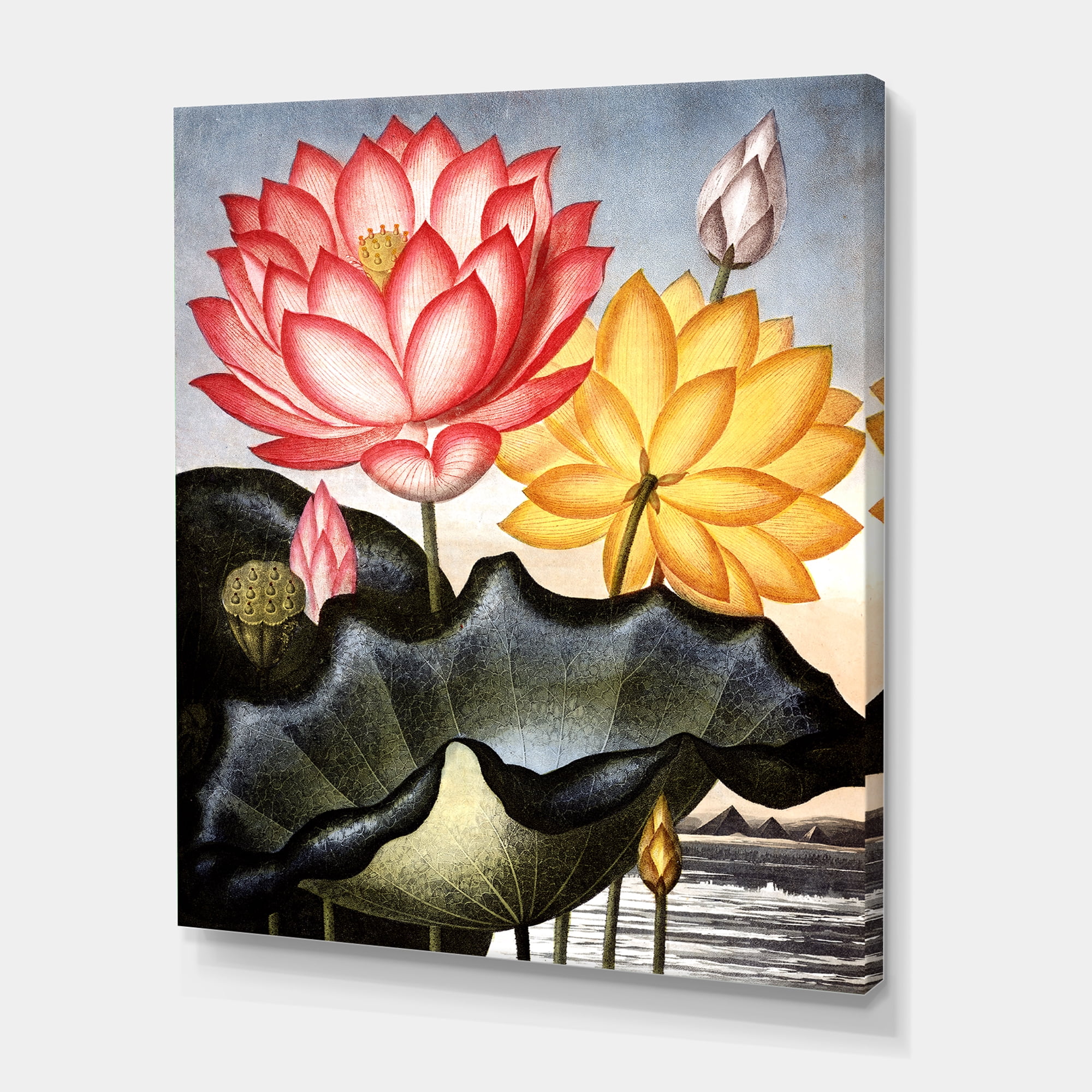 Designart ' Ancient Flowers II ' Traditional Canvas Wall Art Print