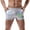 Silver, variant on Sngxgn Men's Briefs, Soft & Breathable Underwear for Men(Green,L)