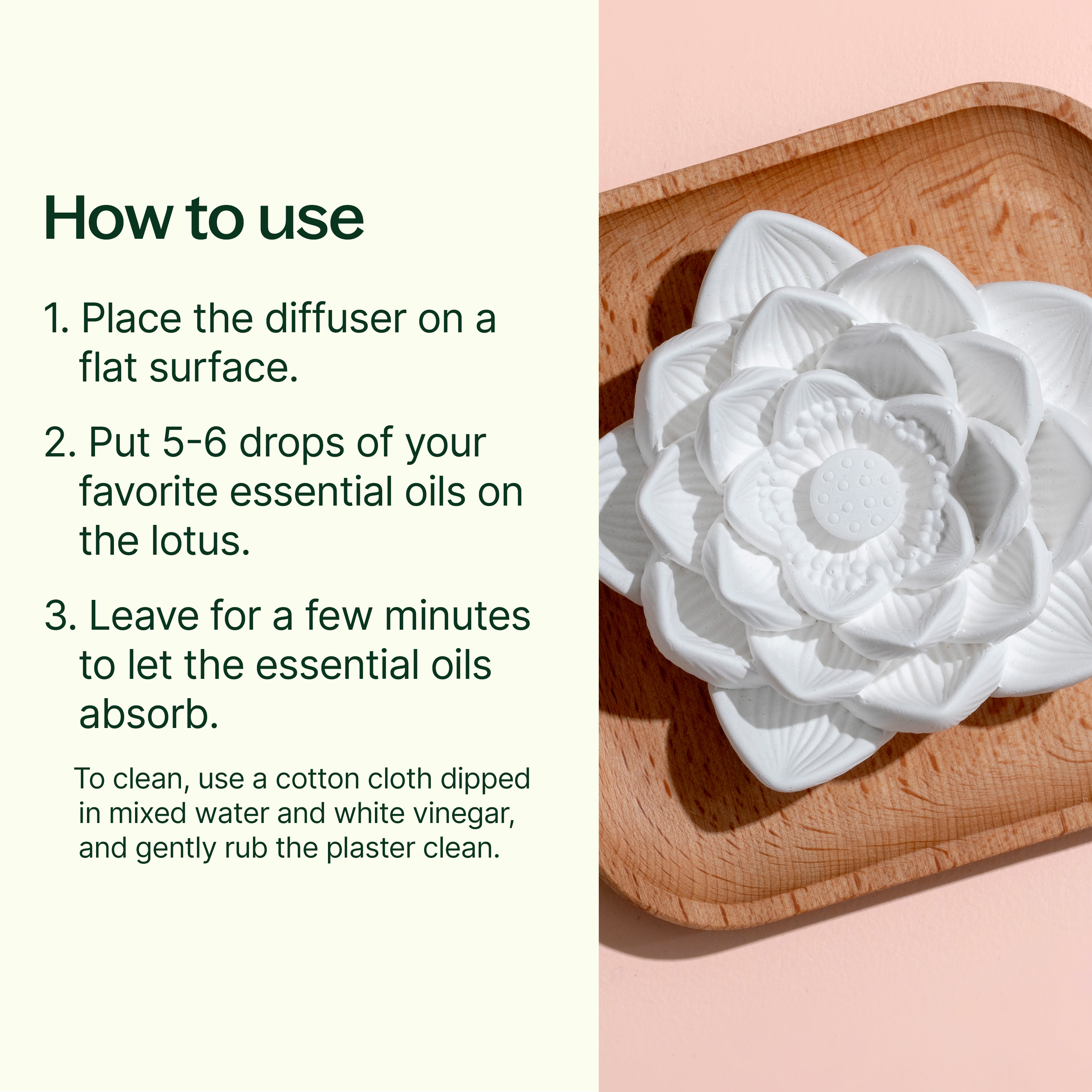 Plant Therapy Passive Lotus Flower Aromatherapy Diffuser photo 2