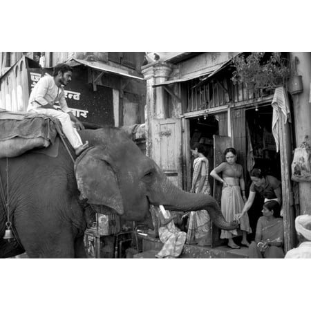 An Elephant Collects Tips from the Prostitutes on Falkland Road for Good Luck, Mumbai, 1980 Print Wall (Best Prostitutes In Mumbai)