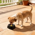 thumbnail image 2 of Dog Lick Toy for Dogs & Cats – Slow Feeder Lick Mat with Suction Cups, Interactive Licking Ball for Dogs, Anxiety Relief, Mental Stimulation, Healthy Eating & Treat Fun (Blue), 2 of 9