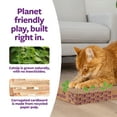 thumbnail image 6 of SmartyKat Super Scratcher+ Catnip Infused Corrugated Cardboard Cat Scratching Floor Pad, 6 of 9