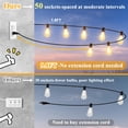 thumbnail image 3 of Cadena de luces LED Brightever para exteriores de 100 pies con 52 bombillas, 3 of 7