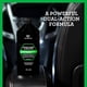 thumbnail image 4 of Trinova Leather conditioner & Cleaner (Limpiador y acondicionador para piel), 4 of 4