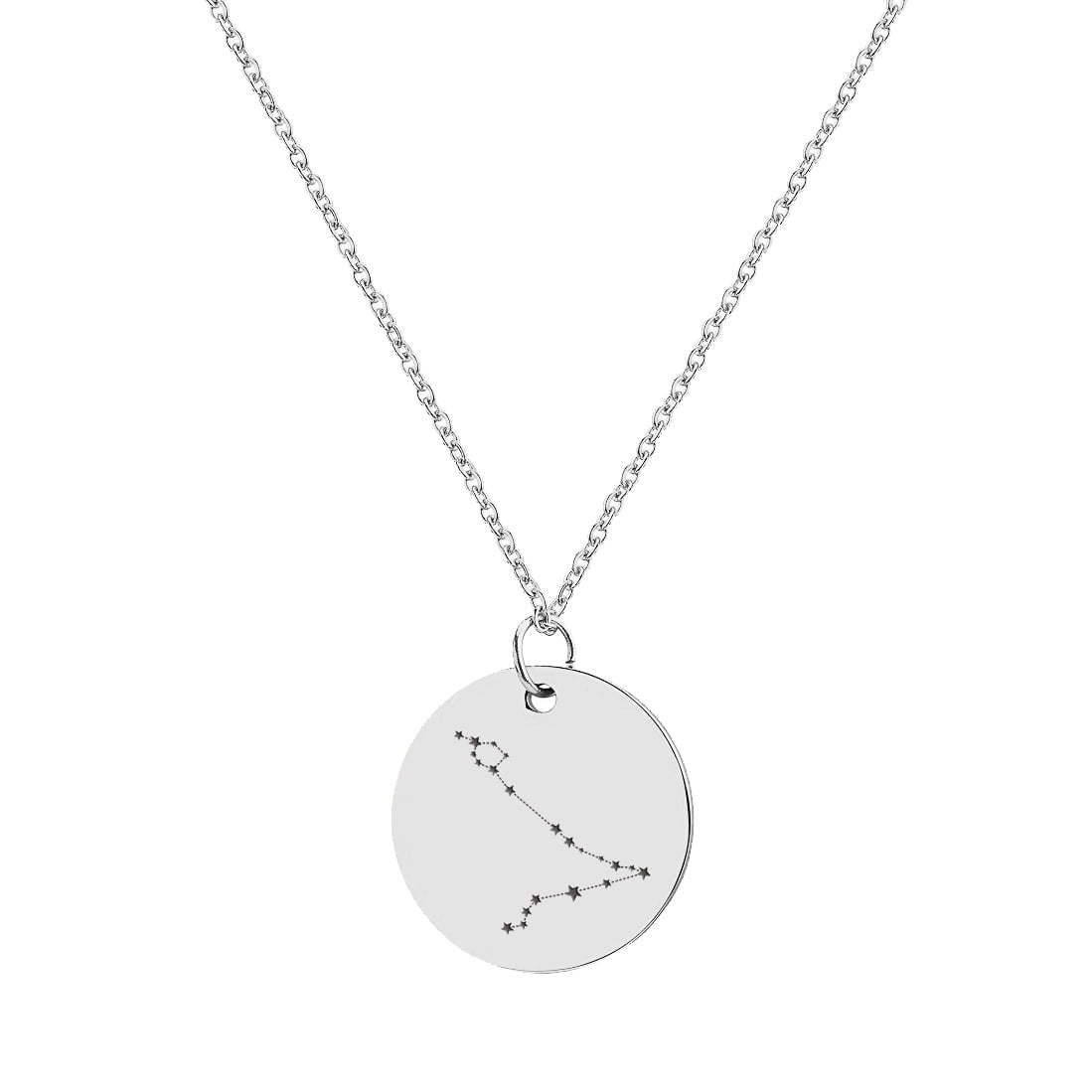 Anavia Round Pisces Constellation Zodiac Star Sign Stainless Steel Silver Disc 22mm Pendant Jewelry with Gift Box
