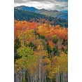 thumbnail image 2 of Gulin, Sylvia 13x18 Gold Ornate Wood Framed with Double Matting Museum Art Print Titled - USA-New Hampshire-New England Fall colors on hillsides along highway 16 north of Jackson, 2 of 4