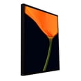 thumbnail image 2 of ArtWall Dean Uhlinger "Pauma Valley Poppy" Floater Framed Gallery-Wrapped Canvas, 2 of 2