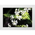 thumbnail image 3 of Alan Hausenflock 4x24 White Modern Wood Framed Wall Art Titled - Vanda Orchids I, 3 of 5