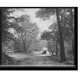 thumbnail image 2 of Historic Framed Print, The Fords, Rock Creek, zoo park, Washington, D.C., 17-7/8" x 21-7/8", 2 of 9
