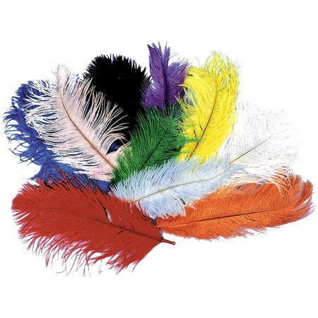 Ostrich Plumes Adult Halloween Accessory