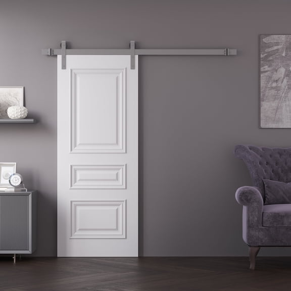 Barn Door 36 x 80 inches | CLASSIC 5589 White Enamel | 6.6FT Silver Rail Track Heavy Hardware Set | Solid Panel Interior Doors