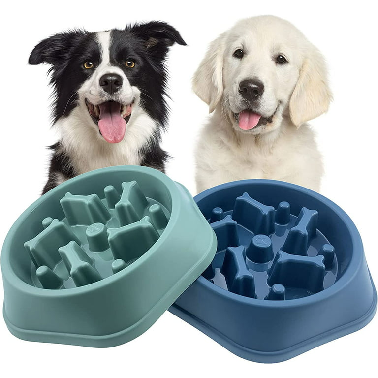 Puzzle Pet Bowl to Slow Eating