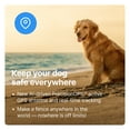 thumbnail image 3 of Halo Collar 3 - Wireless GPS Dog Fence & Training Collar with Real-Time Tracking, Waterproof, 3 of 9