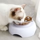 thumbnail image 2 of Billuyoard Cuencos elevados de comida para gatos para mejorar la postura y la digestión Cuenco elevado para gatos Cuencos para mascotas PP Type3 NO3, 2 of 6