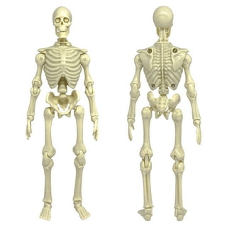 Social Distortion Skeleton 7 Figure