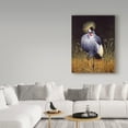 thumbnail image 3 of Trademark Fine Art 'Crowned Crane' Canvas Art by Harro Maass, 3 of 3
