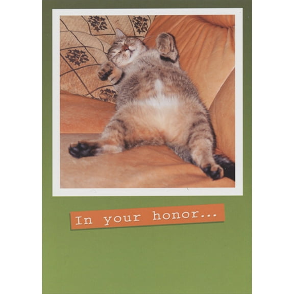 RSVP In Your Honor: Cat Sleeping on Back Humorous / Funny Father's Day Card from Cat