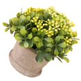 View all media