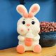 thumbnail image 1 of Conejo de peluche para niños, almohada Kawaii para dormir, muñeco de Animal bonito, regalo de cumpleaños y Navidad, 1 of 3