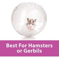 thumbnail image 5 of Kaytee Run-About Ball for Hamsters, Gerbils and Other Small Animals, Clear 7 Inches, 5 of 11